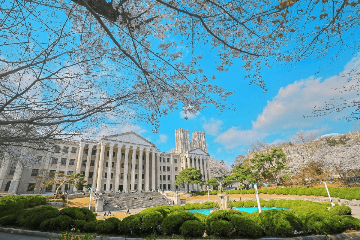 벚꽃이 핀 경희대학교 서울캠퍼스 본관 전경