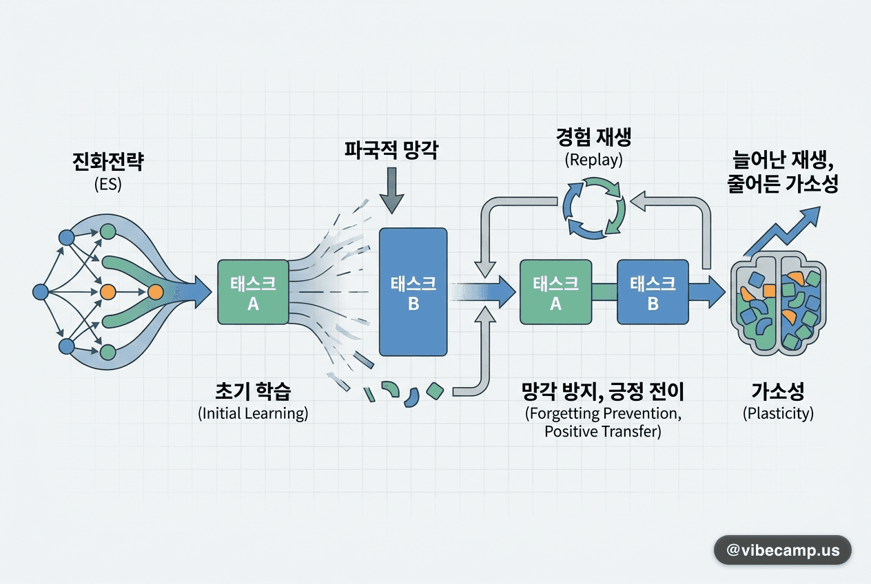 진화전략도 잊는다 — replay로 망각은 막지만 늘릴수록 가소성이 준다
