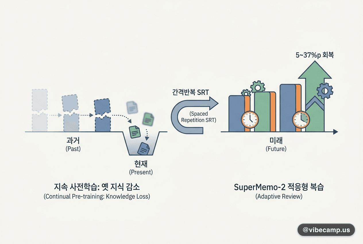 학습 루프에 간격반복을 꽂자 잃었던 옛 지식 5~37%p가 돌아왔습니다