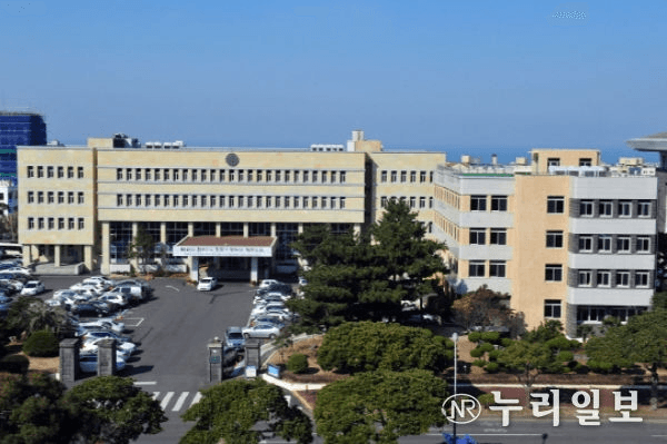 제주특별자치도교육청 청사 전경 — 고교 학부모 대상 AI 진로·학업 설계 연수 주관 기관